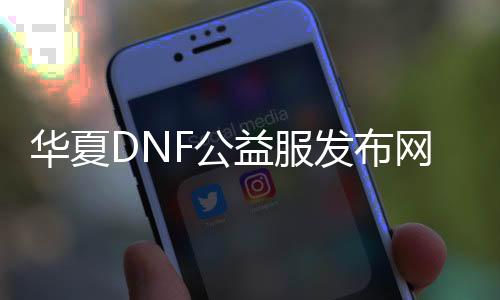 华夏DNF公益服发布网（打造最好的DNF发布网体验）