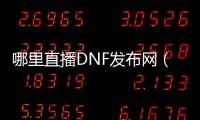 哪里直播DNF发布网（dnf主播在哪个平台）