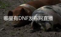哪里有DNF发布网直播（DNF发布网直播平台哪个火）
