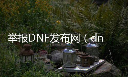 举报DNF发布网（dnf举报查询系统）