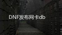 DNF发布网卡db