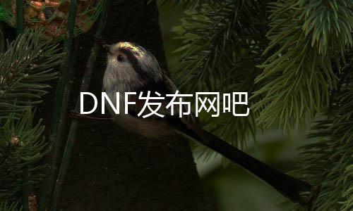 DNF发布网吧