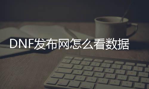 DNF发布网怎么看数据库