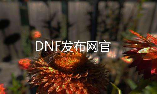 DNF发布网官