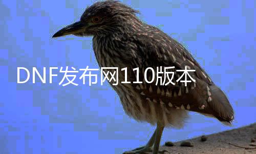 DNF发布网110版本私服